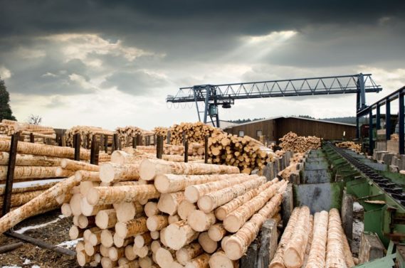Fire Protection Best Practices for Lumber Yards